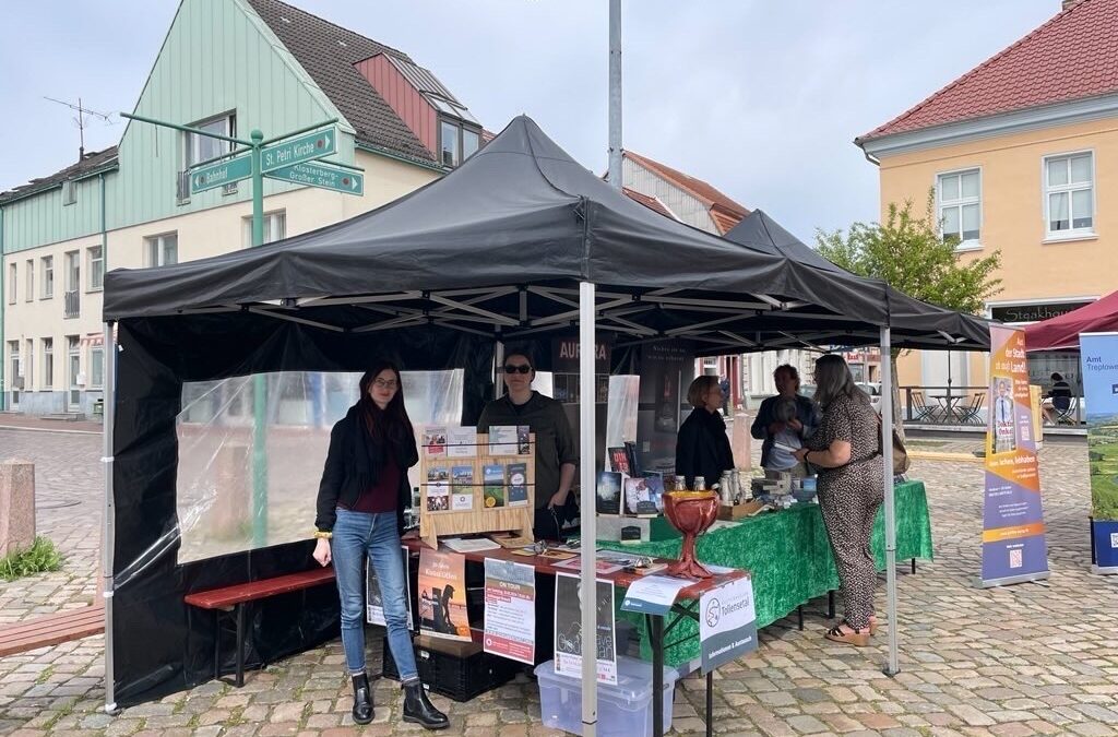 Erster Tollensemarkt