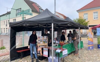 Erster Tollensemarkt